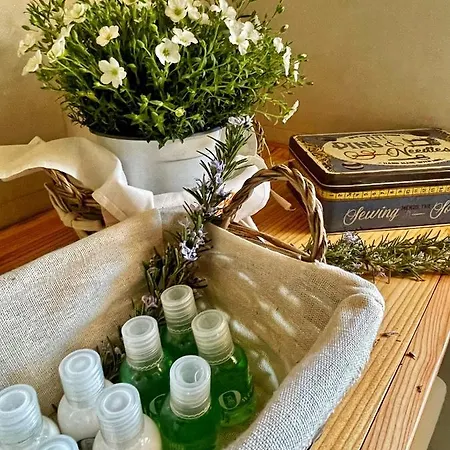 Apartamento Ranch Enbruca *