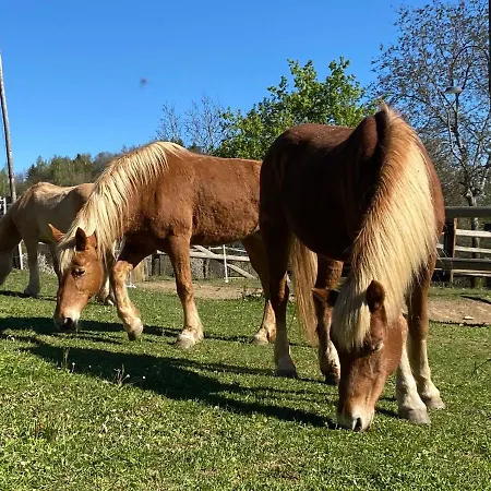 Ranch Enbruca Daire Boves