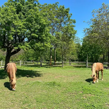 Ranch Enbruca Boves