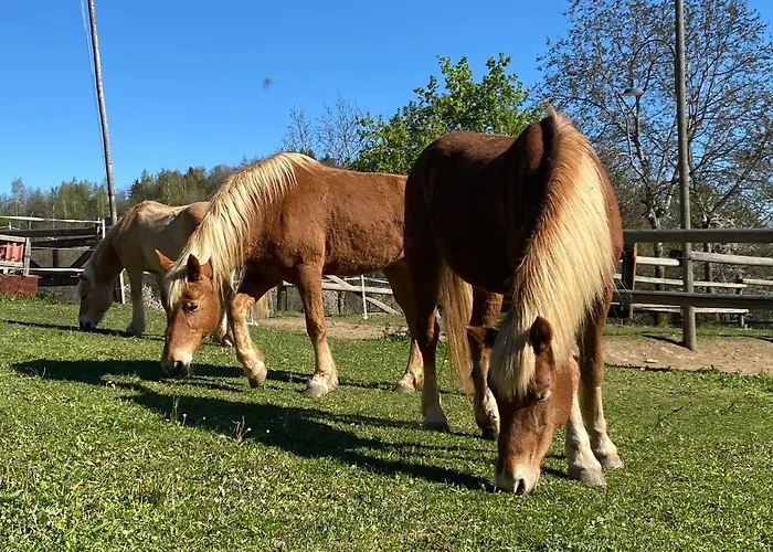 Ranch Enbrucà Appartement Boves