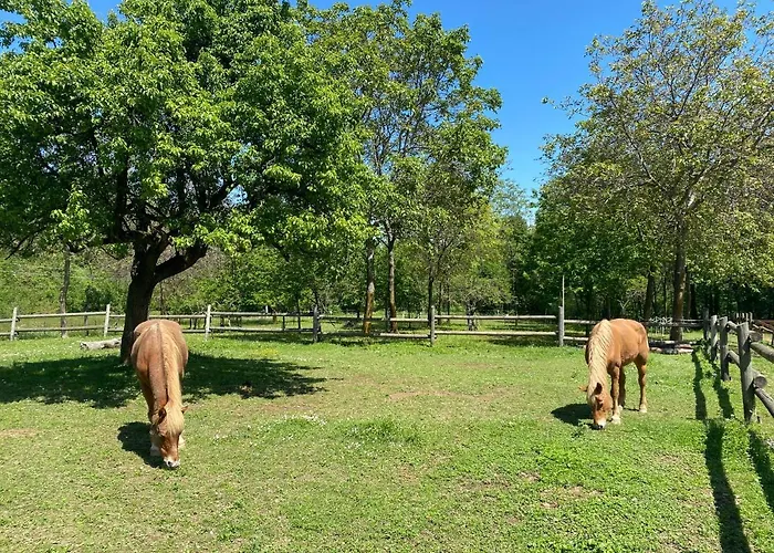 Ranch Enbrucà Boves