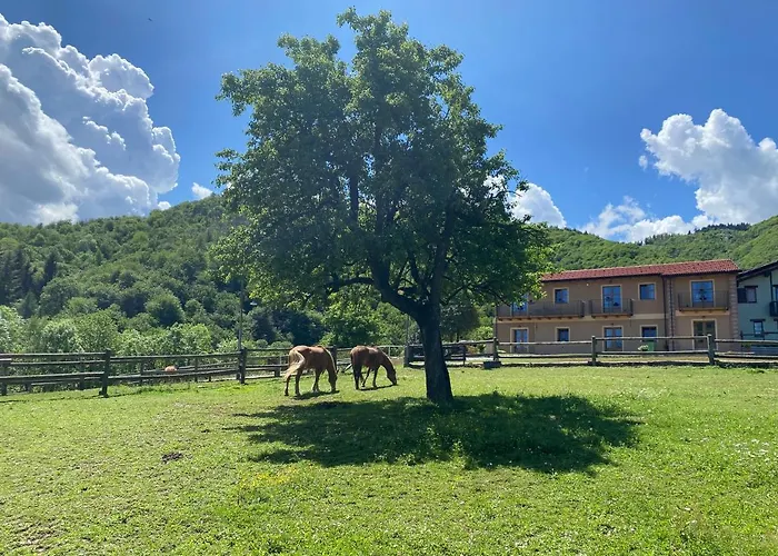 Ranch Enbrucà *