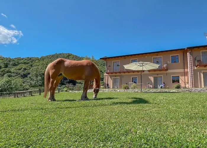 Ranch Enbrucà *